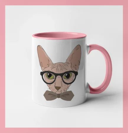 Hipster sphynx