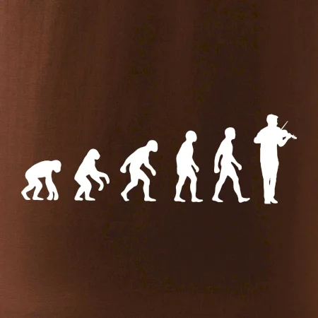 Evoluce houslista