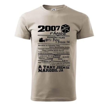 2007 v kostce
