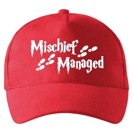 Harry - Mischief Managed
