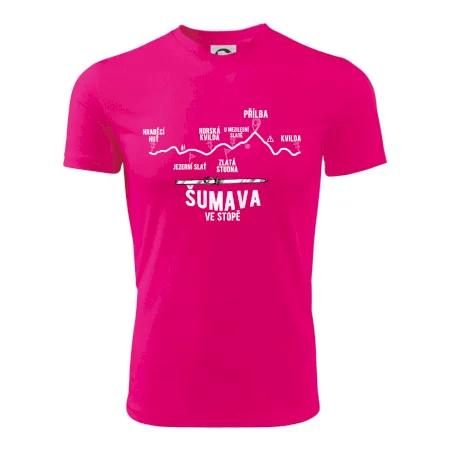 Šumava ve stopě