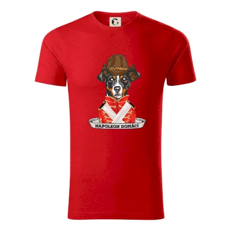 Napoleon domácí pes kříženec