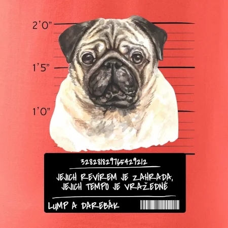 Lump a darebák mopsík