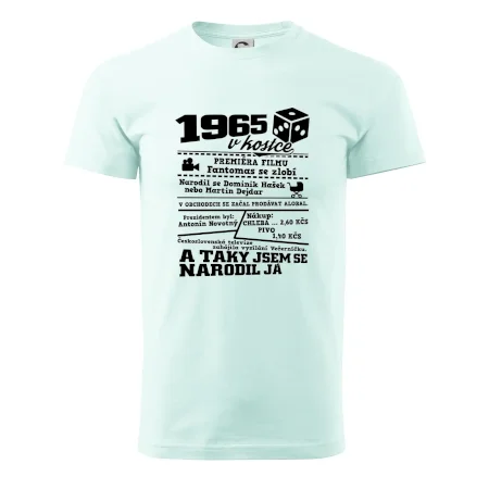 1965 v kostce