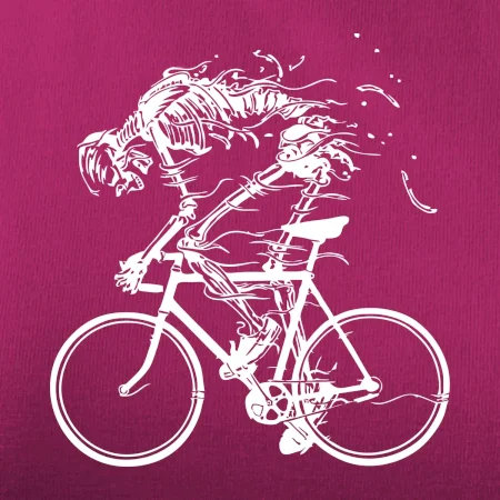 Cyklo kostra