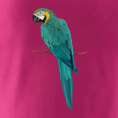 Ara