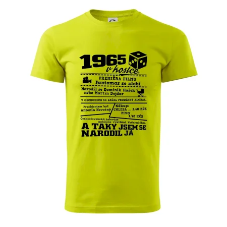 1965 v kostce