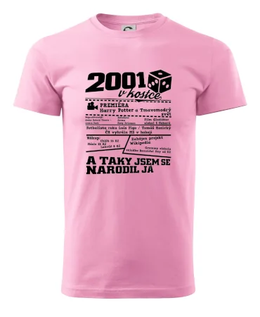 2001 v kostce