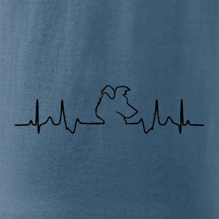Border kolie EKG