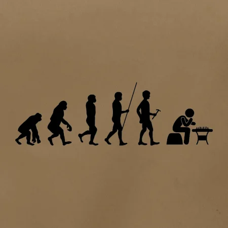 Evoluce šachy