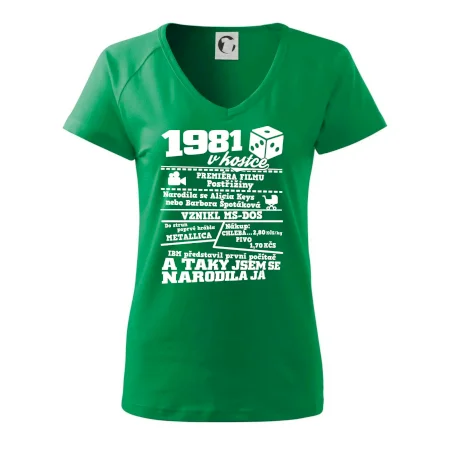 1981 v kostce