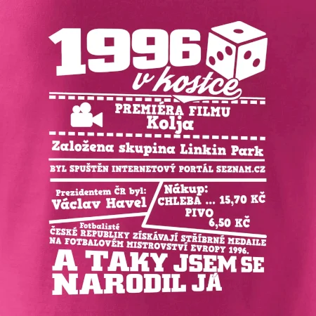 1996 v kostce