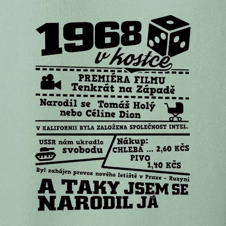 1968 v kostce