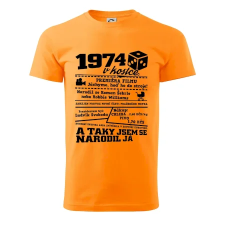 1974 v kostce