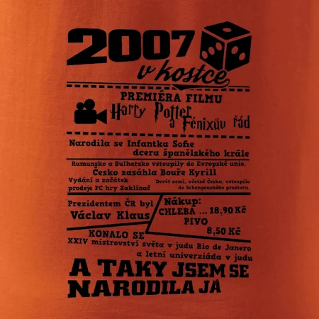 2007 v kostce