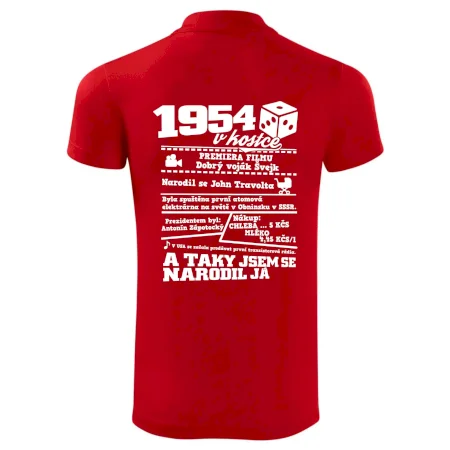 1954 v kostce