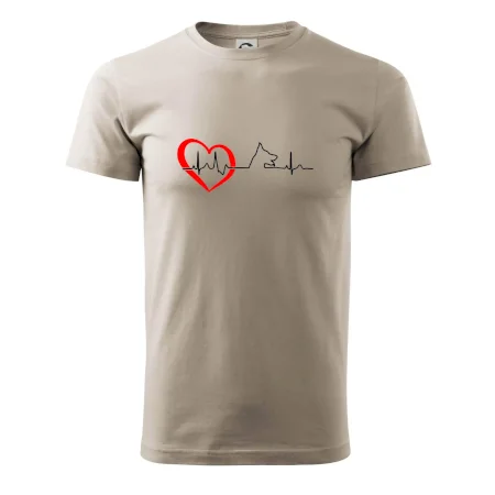 Německý ovčák ekg