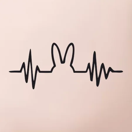EKG zajíc