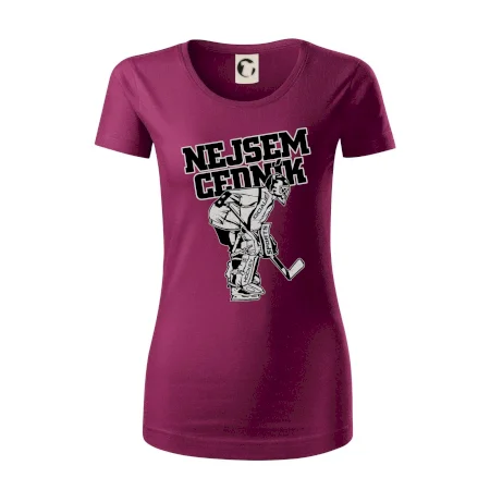 Nejsem cedník