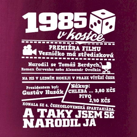 1985 v kostce