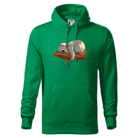 Koala na větvi