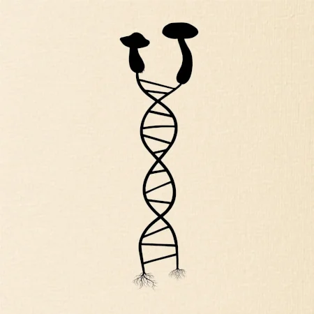 DNA houby