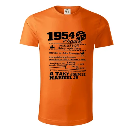 1954 v kostce