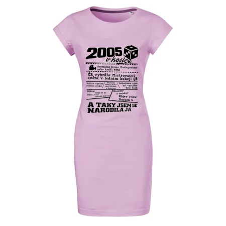 2005 v kostce