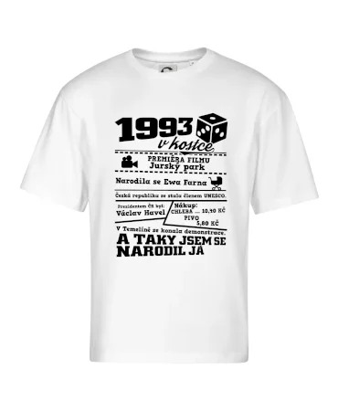 1993 v kostce