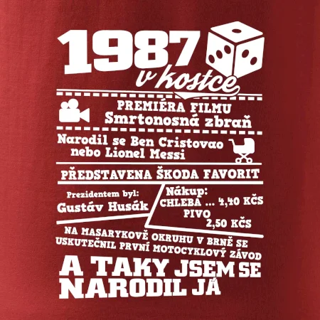 1987 v kostce