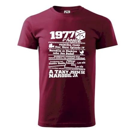 1977 v kostce