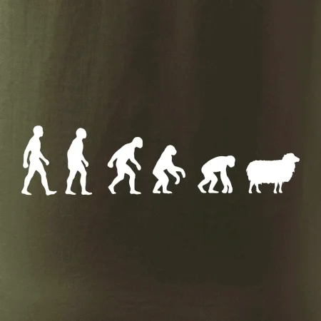Evoluce ovce