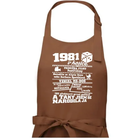 1981 v kostce