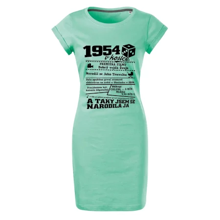 1954 v kostce