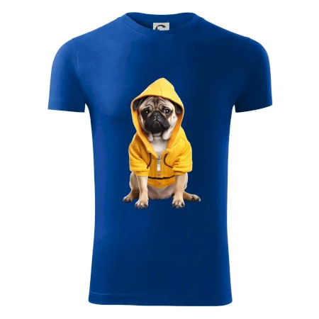 Mops v mikině