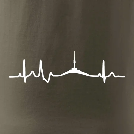 Ekg Jeseníky