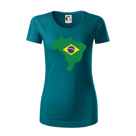 Brazílie vlajka v mapě