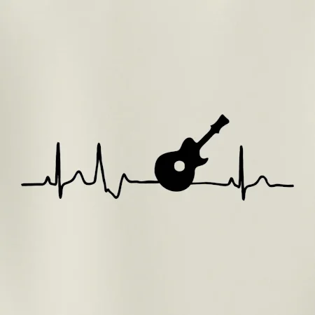 EKG akustická kytara