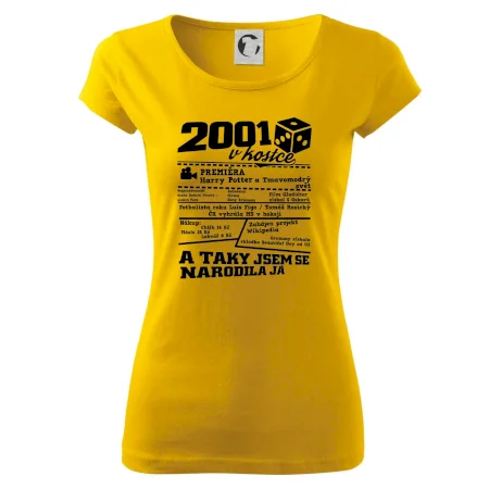 2001 v kostce