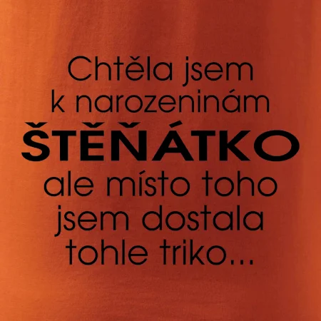 Chtěla jsem dostat k narozeninám štěňátko