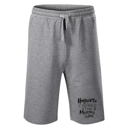 Harry - Hogwarts wasn’t hiring, so I teach Muggles instead