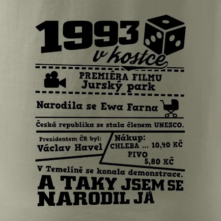 1993 v kostce