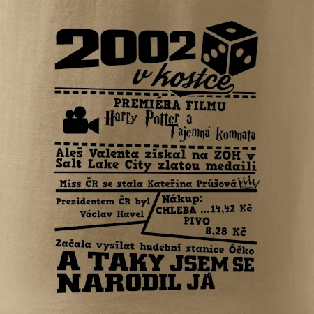 2002 v kostce
