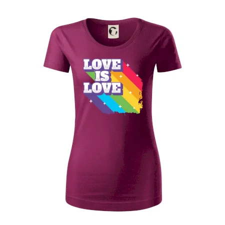 Love is love duha