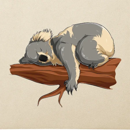 Koala na větvi