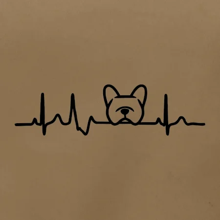 EKG Francouzský buldoček hlava