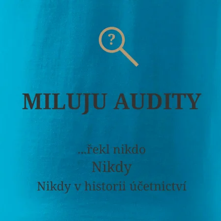 Miluju audity řekl nikdo nikdy