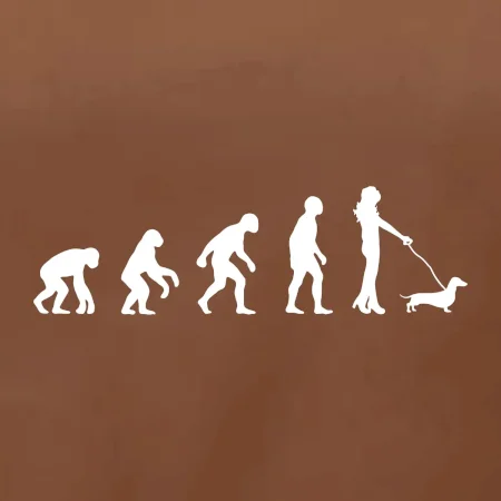 Jezevčík Evoluce žena