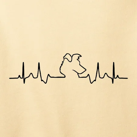 Border kolie EKG