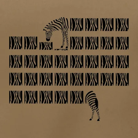 Zebra dlouhá